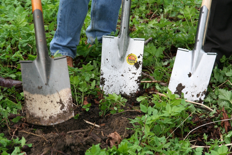 pepiniere-BAIROLS-min_work-lawn-flower-tool-green-backyard-1103633-pxhere.com